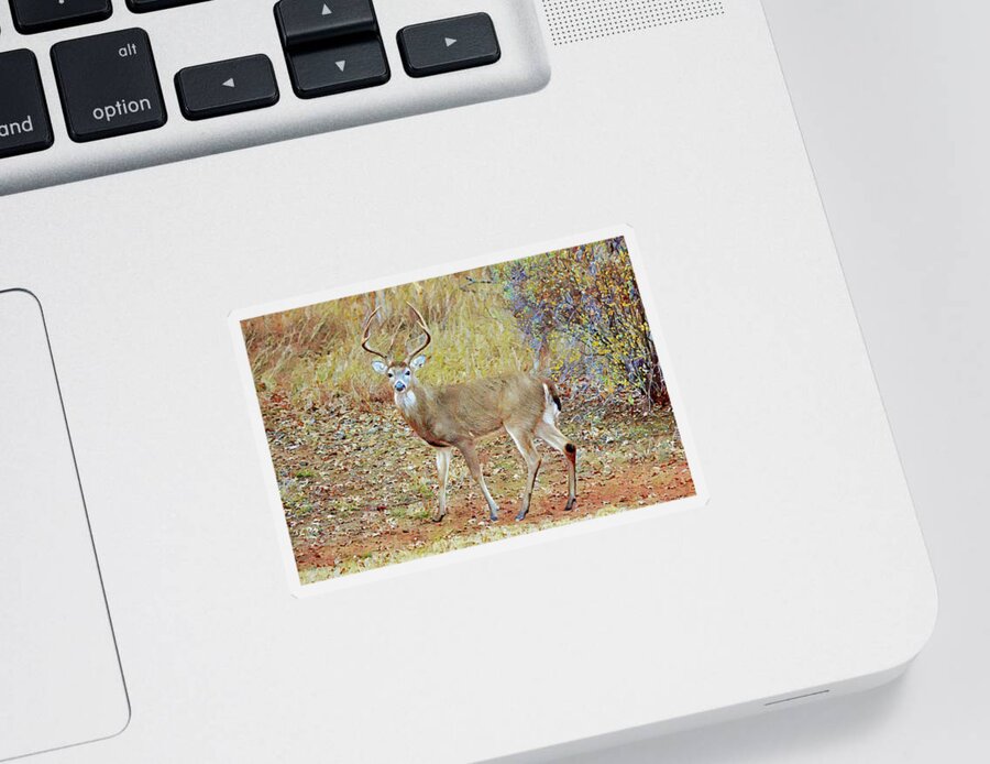 Deer Sticker featuring the digital art Buck Deer Eight Point Antlers in Texas by Gaby Ethington