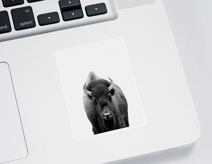 Buffalo Sticker featuring the photograph Buffalo Photo 135 black and white by Lucie Dumas