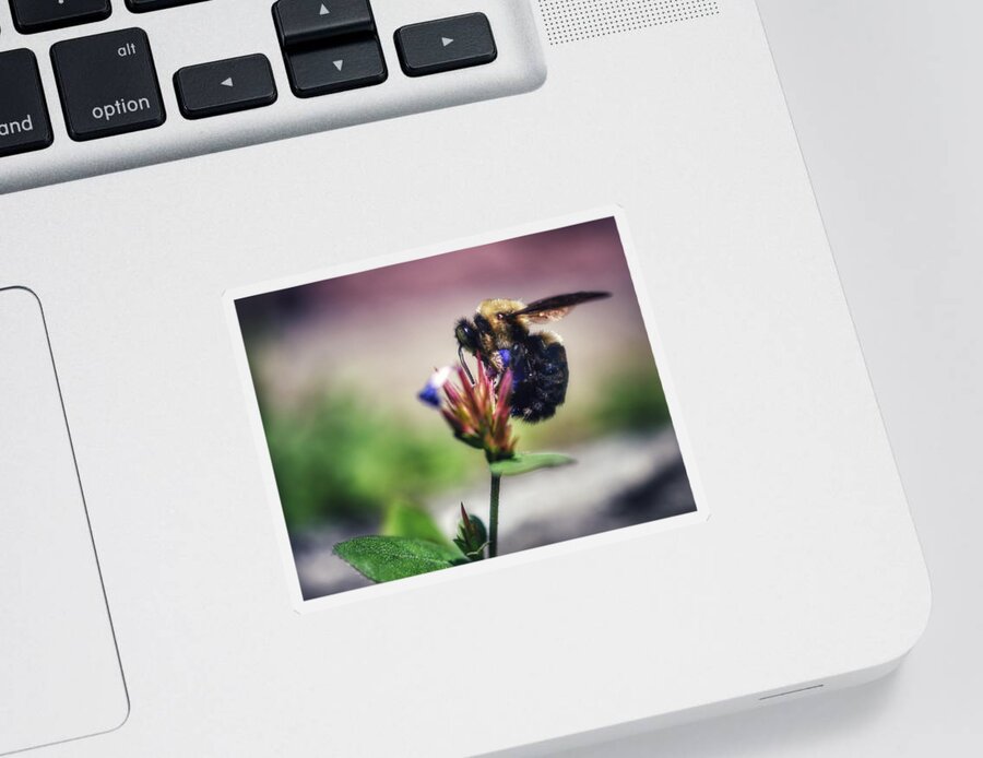 Photo Sticker featuring the photograph Bumble Bee at Work by Evan Foster