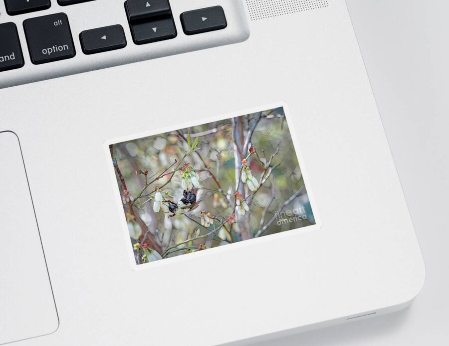 Bees Sticker featuring the photograph Busy As A Bee PhotoArt by DB Hayes
