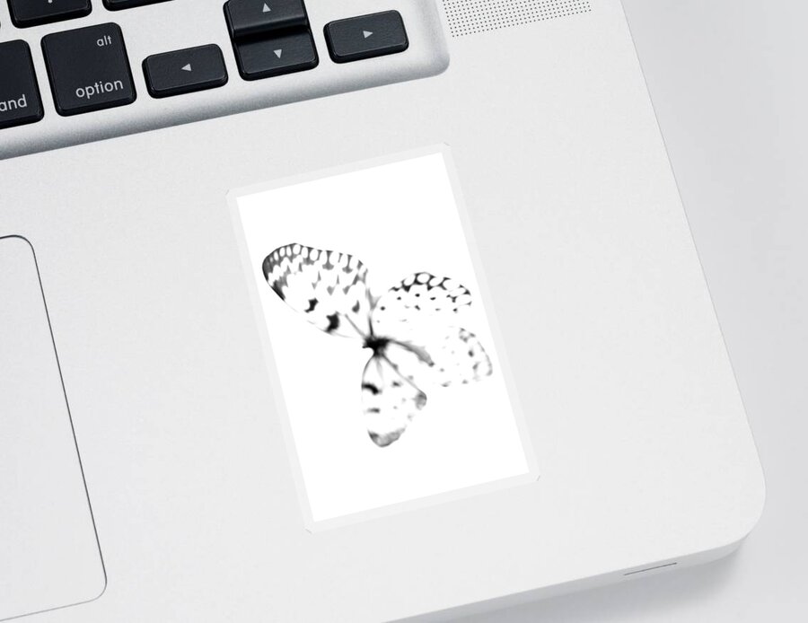 Butterfly Sticker featuring the photograph Butterfly Blanc - Minimal Abstract Black And White by Marianna Mills
