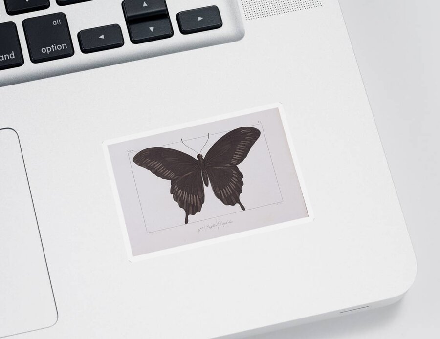 Black Butterfly Sticker featuring the digital art Butterfly c. 1835 by Kim Kent