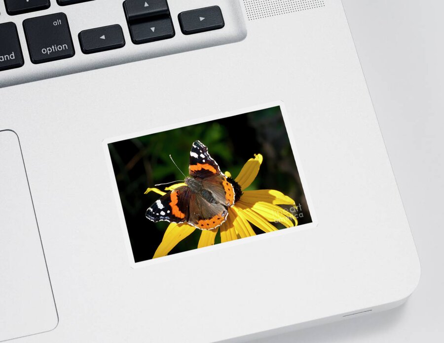 Wonderful Life Sticker featuring the photograph A Beauty - Butterfly on flower - Red Admiral by Tatiana Bogracheva