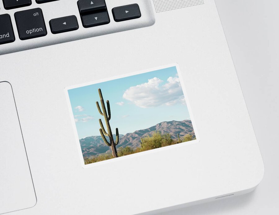 Botanic Sticker featuring the photograph Cacti Cactus Collection - Saguaro Tucson by Philippe HUGONNARD