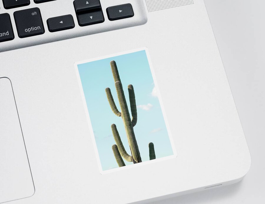 Botanic Sticker featuring the photograph Cacti Cactus Collection - The Cactus by Philippe HUGONNARD