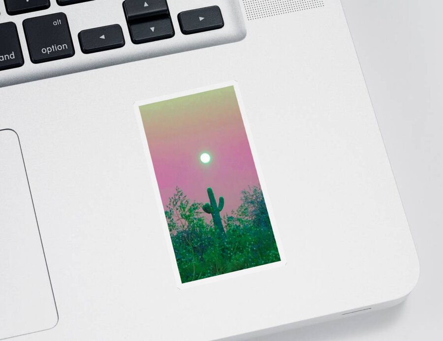 Desert Sticker featuring the photograph Cactus Full Moonrise in Aries by Judy Kennedy