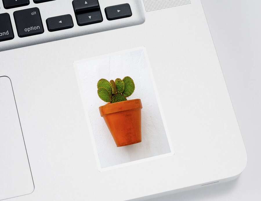 Plants Sticker featuring the photograph Cactus in a pot by Gary Browne
