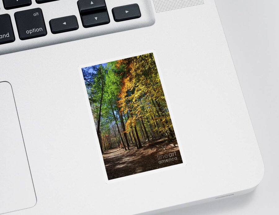 Autumn Sticker featuring the photograph Cades Cove Landscape 5 by Phil Perkins