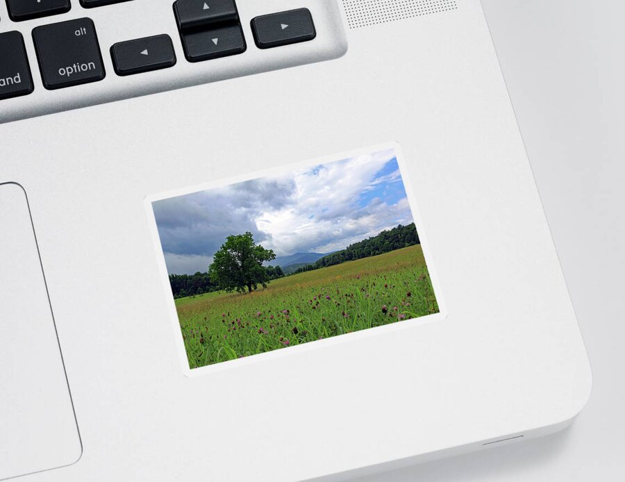 Tennessee Sticker featuring the photograph Cades Cove Wildflower Pasture by Jennifer Robin