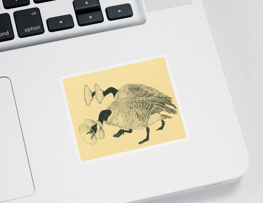 Geese Sticker featuring the drawing Canadian Brass Geese by Jenny Armitage