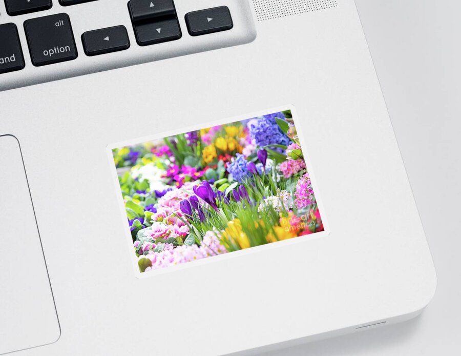 2023 Orchids Sticker featuring the photograph Canadian Spring by Marilyn Cornwell