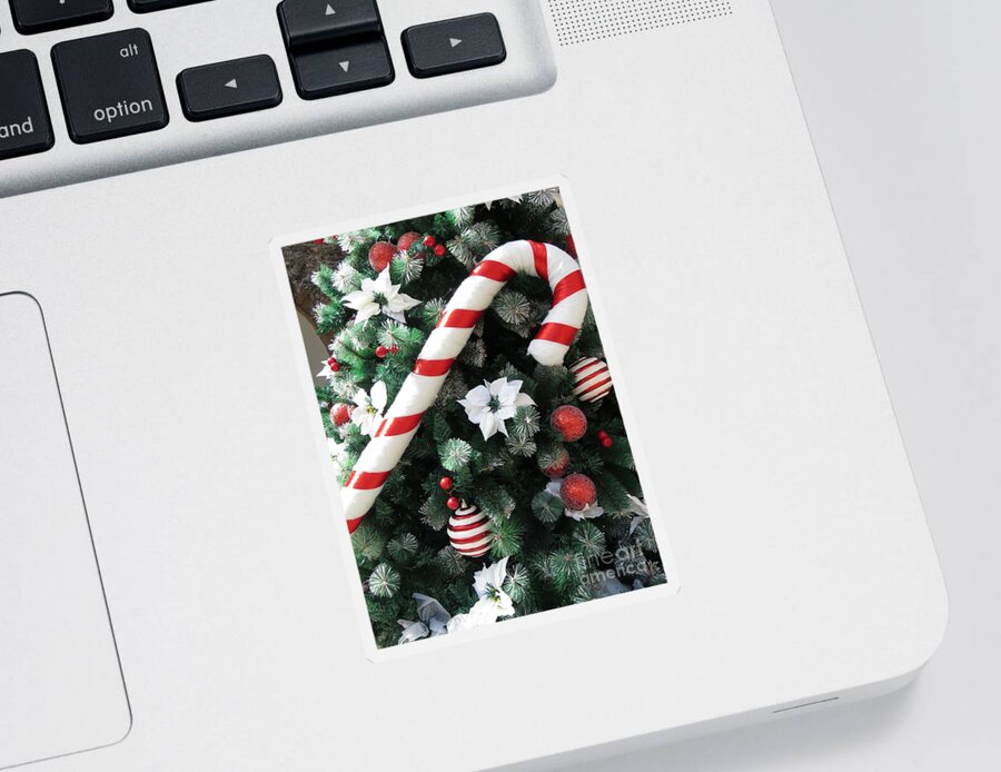 Accessories Sticker featuring the photograph Candy Cane Holiday by World Reflections By Sharon