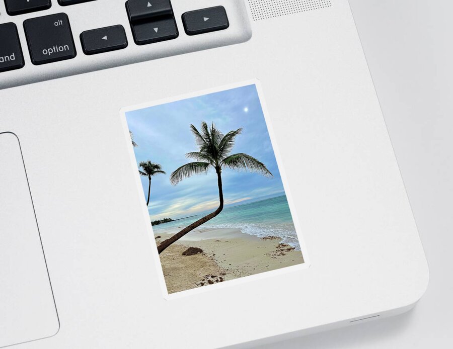 Caribbean Sticker featuring the photograph Caribbean Palm by Brian Eberly