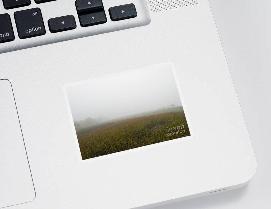 Fog Sticker featuring the photograph Carolina Rain and Fog by Dale Powell