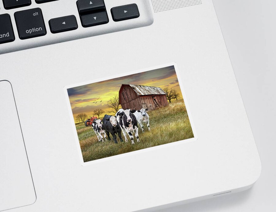 Barn Sticker featuring the photograph Cattle in the Midwest with Barn and Tractor at Sunset by Randall Nyhof