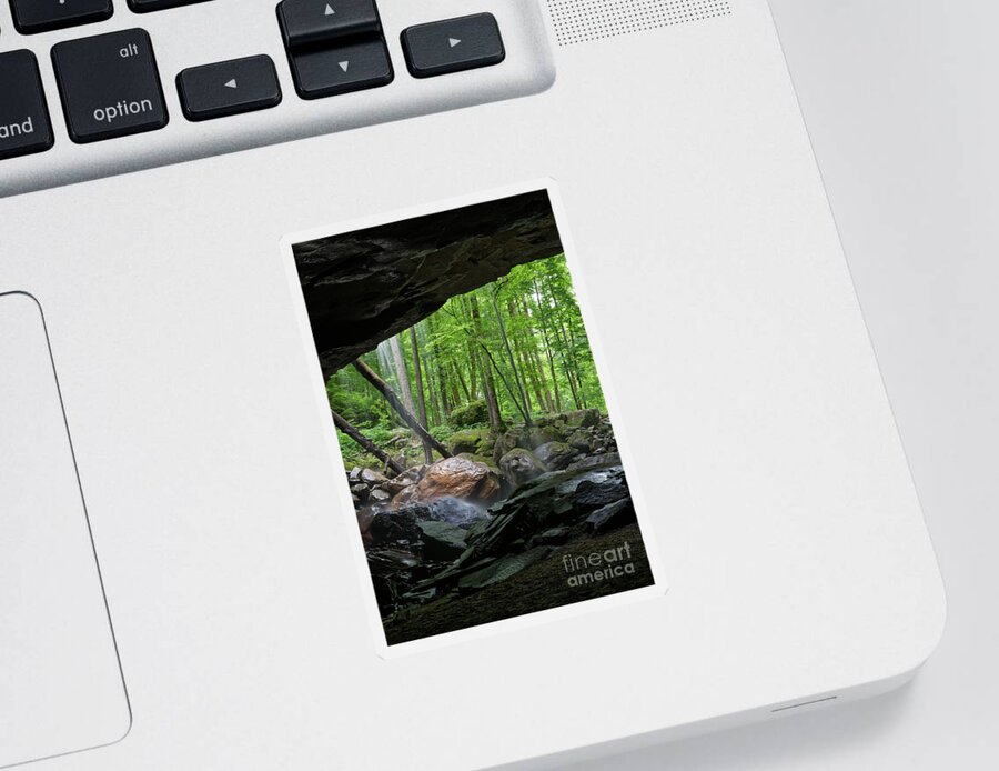 Big Laurel Falls Sticker featuring the photograph Cave Behind Waterfall 2 by Phil Perkins