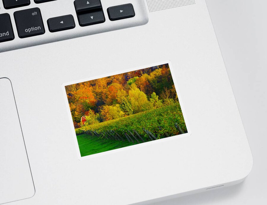 Autumn Sticker featuring the photograph Autumn at the Vineyard - Niagara by Kenneth Lane Smith
