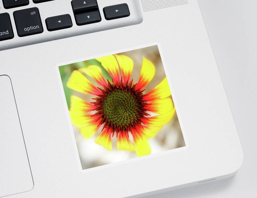 Coneflower Sticker featuring the photograph Center Of Attention by Lens Art Photography By Larry Trager