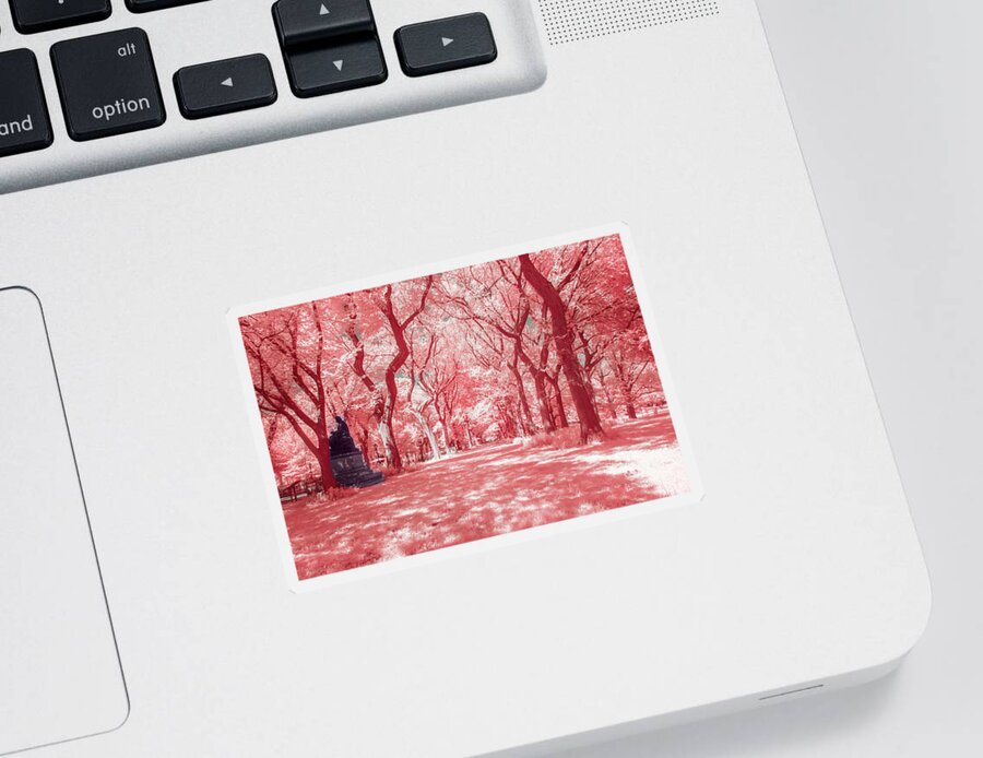 Treeline Sticker featuring the photograph Central Park in Pink by Auden Johnson