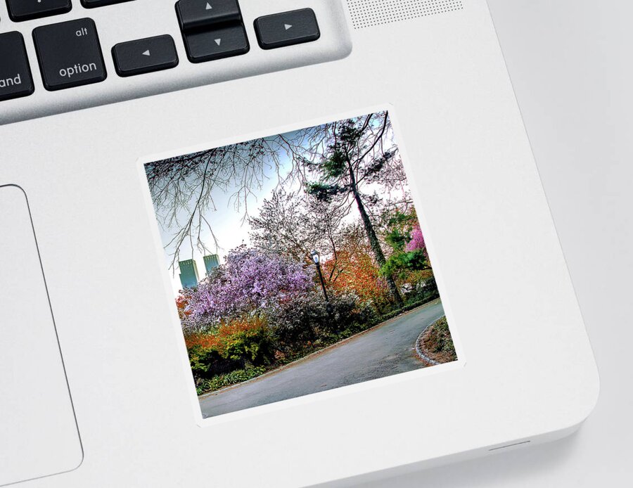 Central Park Sticker featuring the photograph Changing Of The Seasons Triptych_3 by Az Jackson