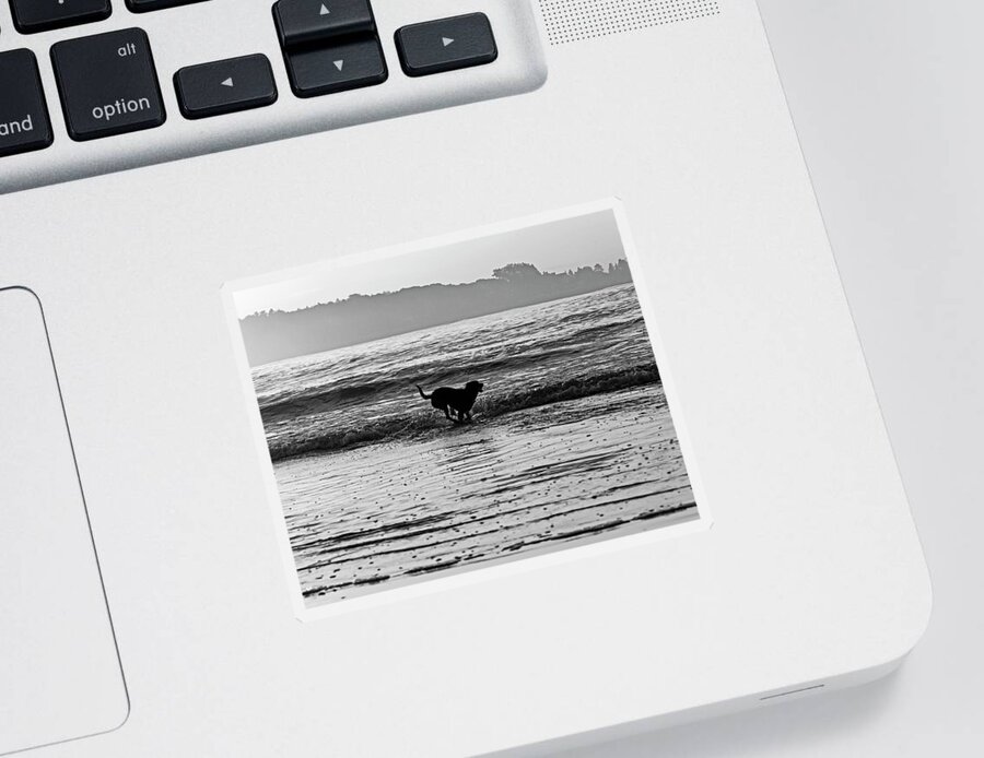 Kennebunk Sticker featuring the photograph Charging towards the water Gooch's beach Kennebunk maine sunrise Black and White by Toby McGuire