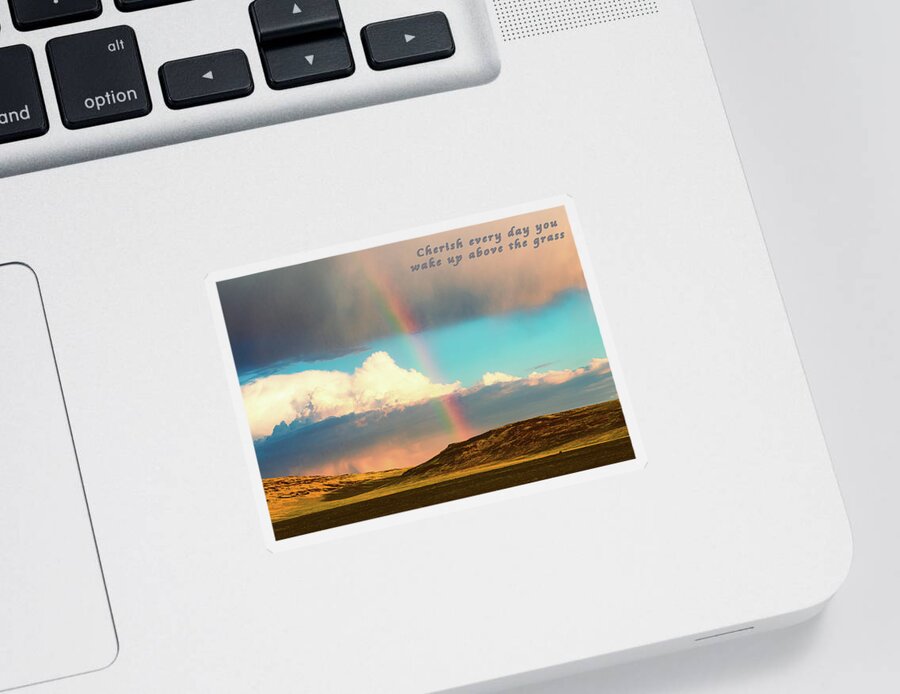 Grassland Sticker featuring the photograph Cherish Every Day by Mike Lee