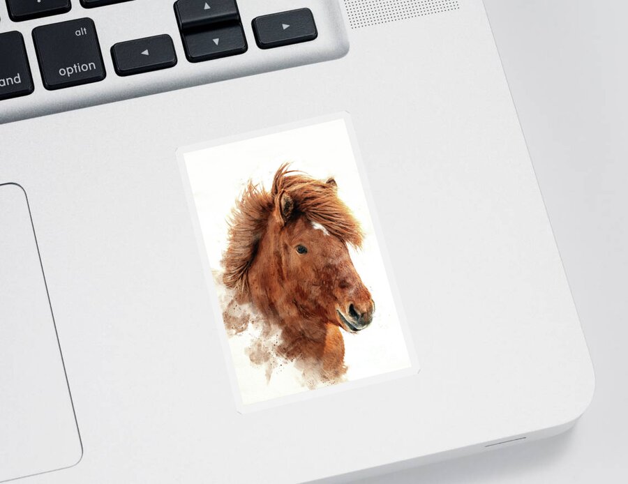 Icelandic Sticker featuring the photograph Chestnut Icelandic horse, islenski hesturinn, digital watercolour. Close up of face and mane. by Jane Rix