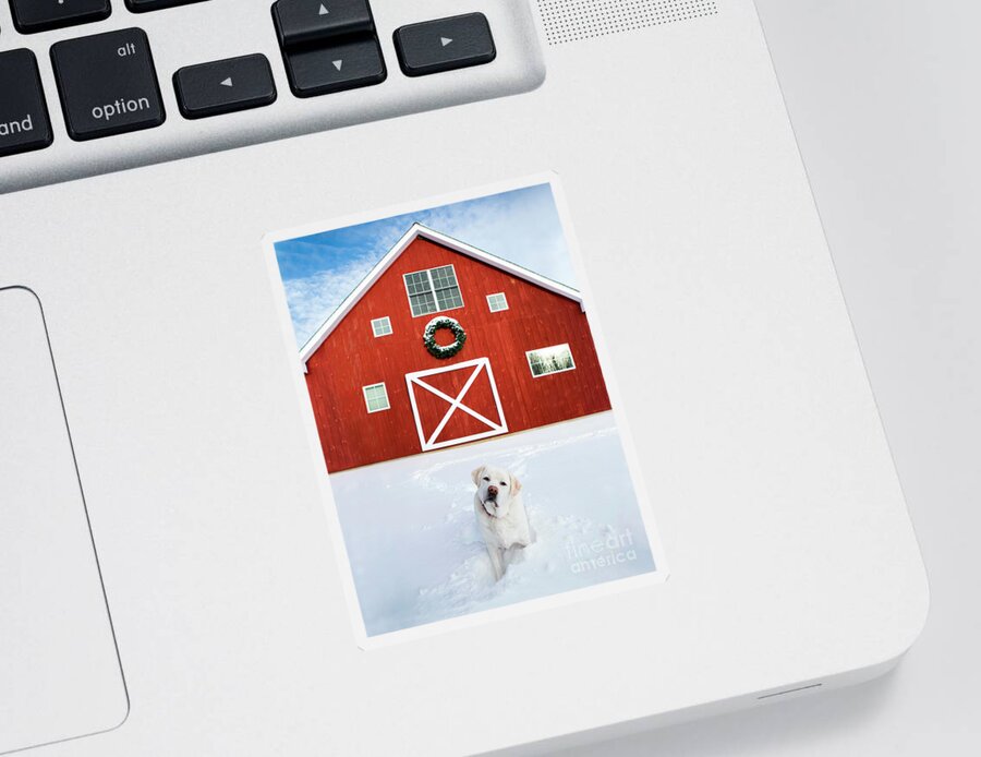 Christmas Sticker featuring the photograph Christmas Barn With White Labrador Retriever by Diane Diederich