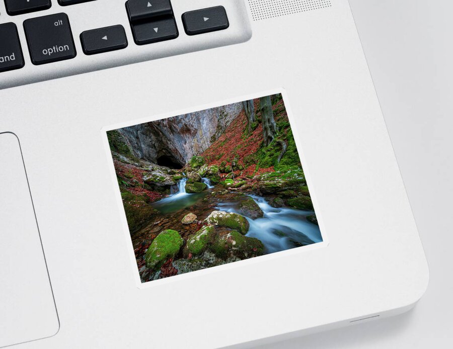 Waterfalls Sticker featuring the photograph Cioclovina with water by Cosmin Stan