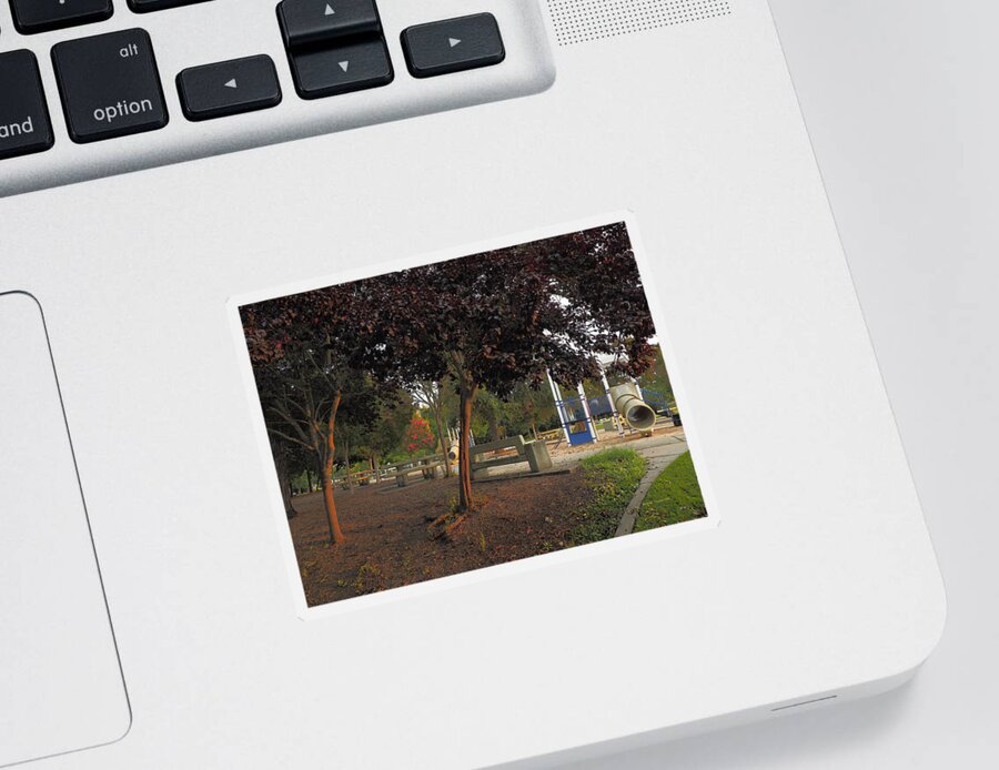 Landscape Sticker featuring the photograph City Park Warmth by Richard Thomas