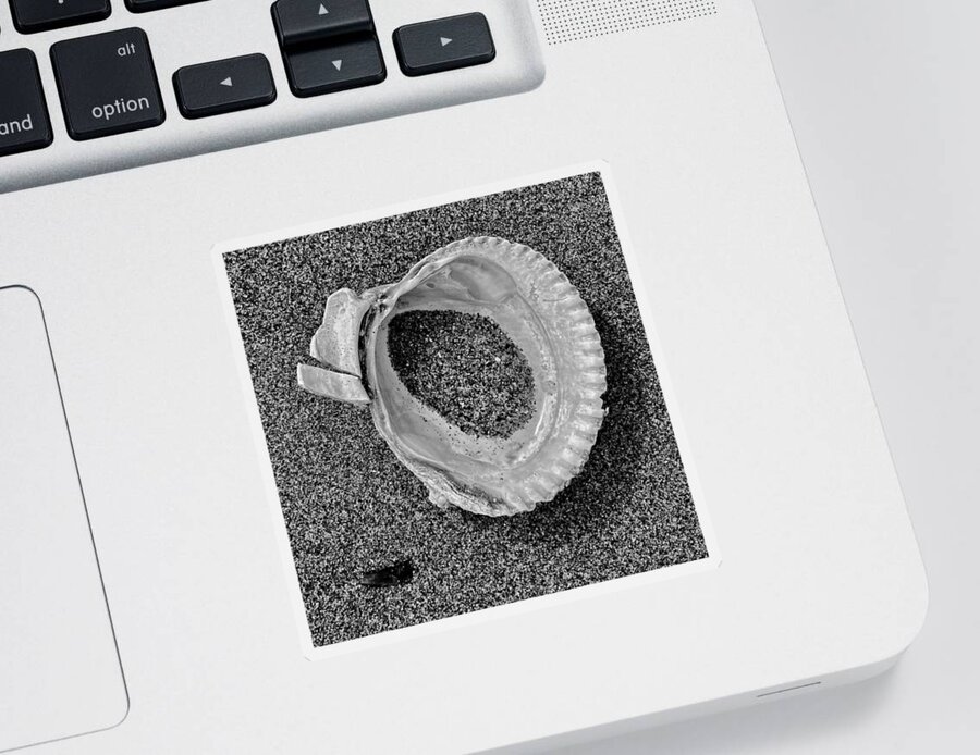Black And White Sticker featuring the photograph Clam Shell - Sandy Beach bw by Jerry Abbott