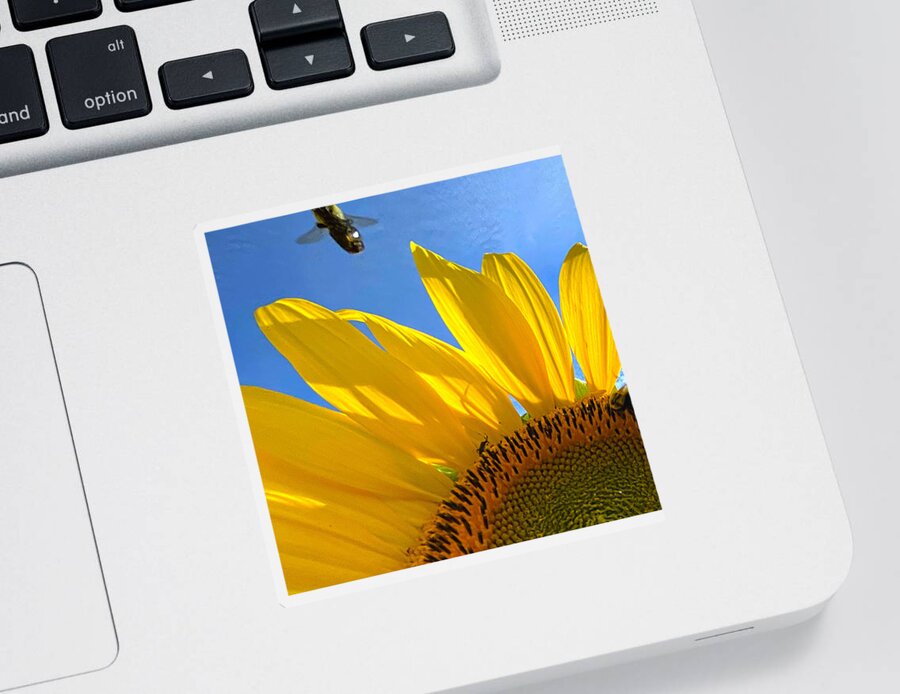 Sunflower Sticker featuring the photograph Cleared for Departure by Lee Darnell