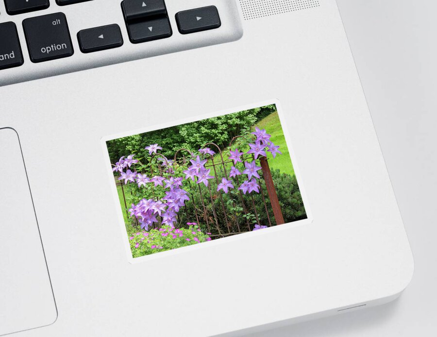 Clematis Sticker featuring the photograph Clematis on a Fence by Robert Carter