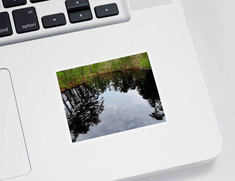 Trees Sticker featuring the photograph Cloudy Reflection by Linda Stern