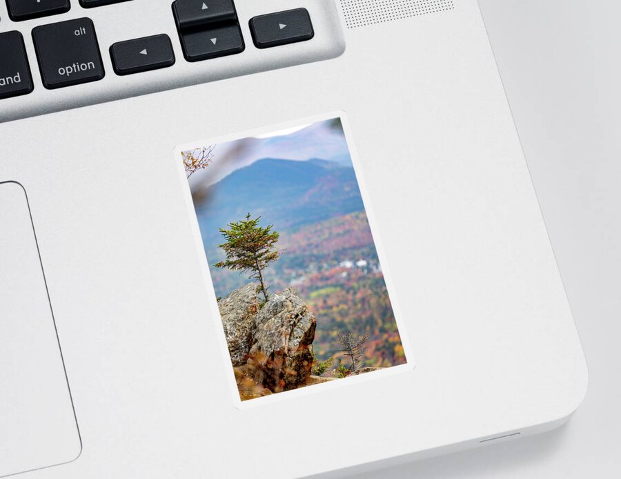 Lake Placid Sticker featuring the photograph Cobble Stone Fir by Dave Niedbala