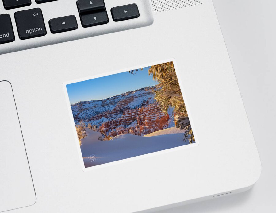 Art Sticker featuring the photograph Cold Morning by Edgars Erglis