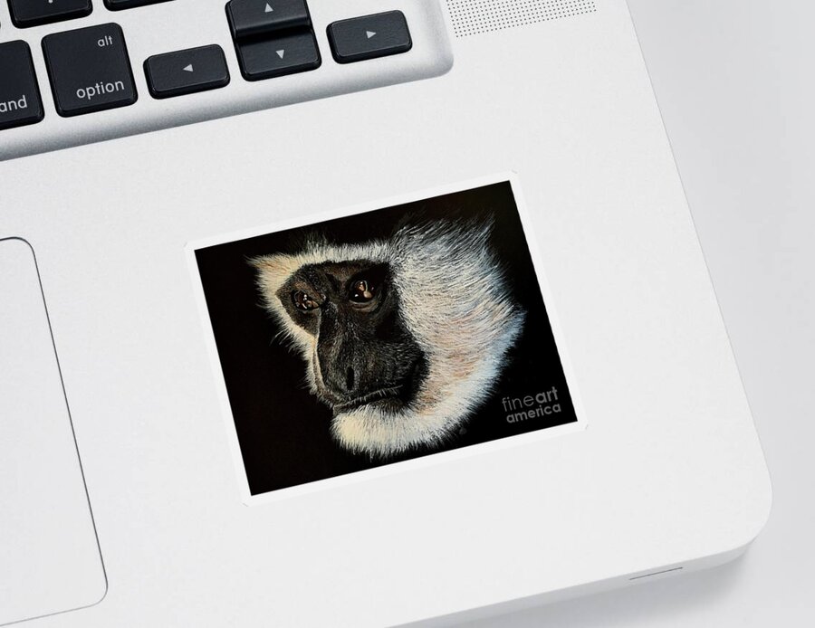  Sticker featuring the painting Colobus Monkey Acrylic Painting on A3 black art card by Moospeed Art