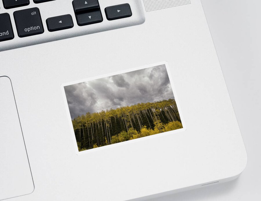 Artistic Sticker featuring the photograph Colorado Fall by Brian Howerton