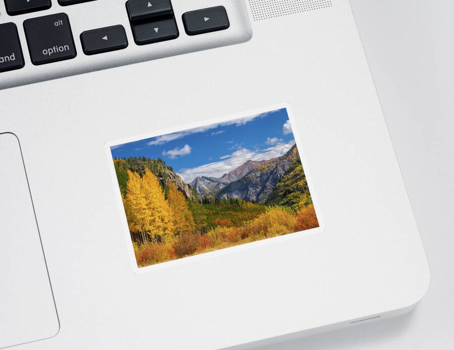 Fall Sticker featuring the photograph Colorado's Carpet of Color by Darren White