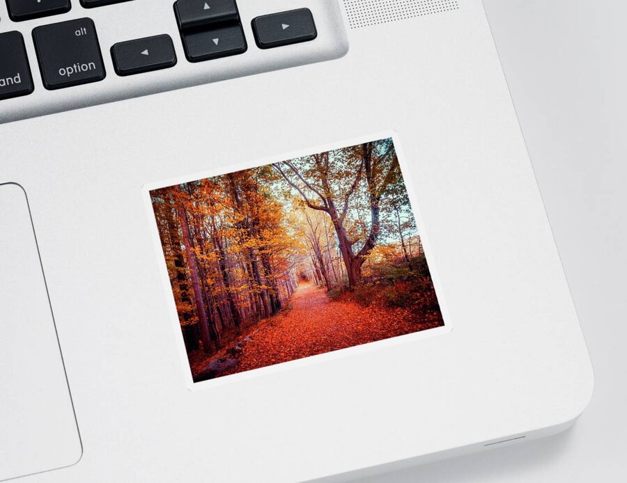 Foliage Sticker featuring the photograph Colorful Autumn path in the woods a by Lilia S
