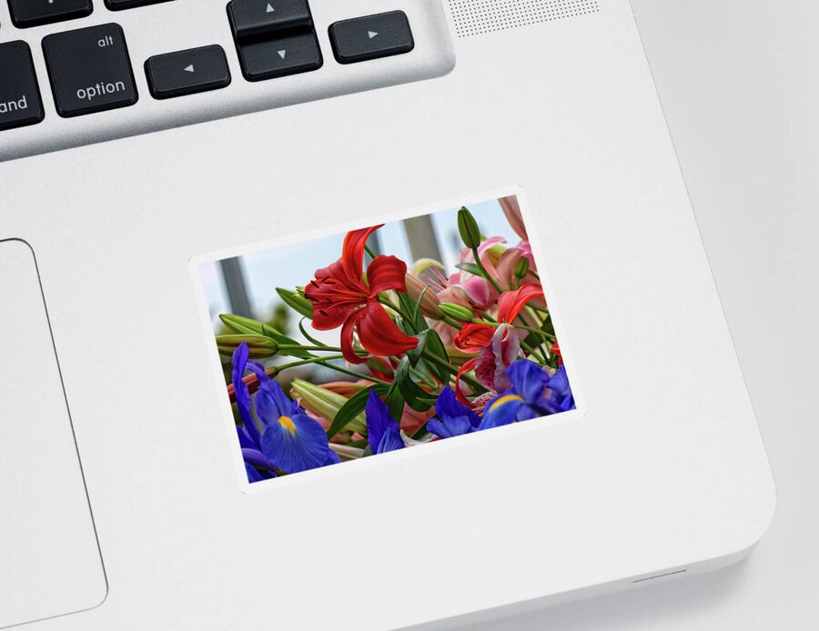 Flowers Sticker featuring the photograph Colorful flowers by Doug Wittrock