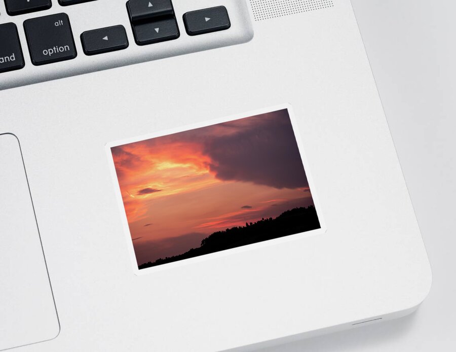 Orange Sunset Sticker featuring the photograph Colorful Sunset over Tree Silhouettes by Alexios Ntounas