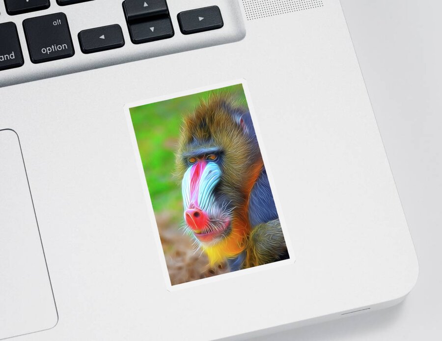 Mandrill Sticker featuring the photograph Colourful Mandrill portrait in Digital art style by Gareth Parkes