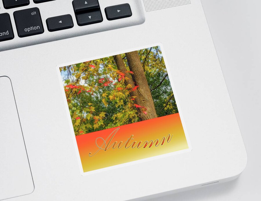 Autumn Sticker featuring the photograph Colours of Autumn 2 by Elaine Teague