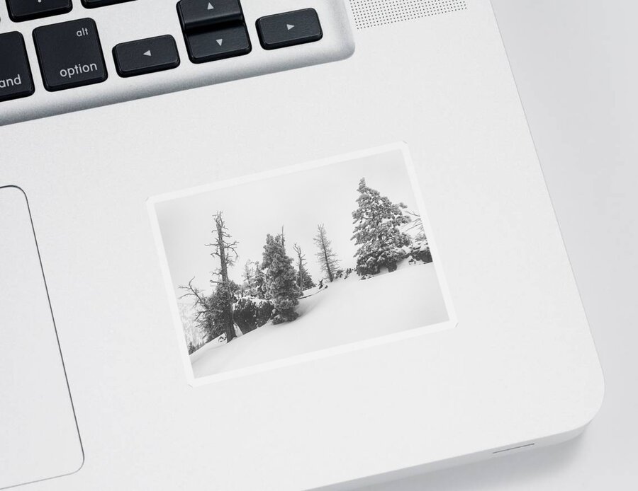 Snow Sticker featuring the photograph Comfort by Mark Ross