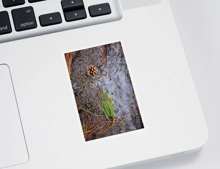 Still Life Sticker featuring the photograph Composition by Mother Nature by Mary Lee Dereske