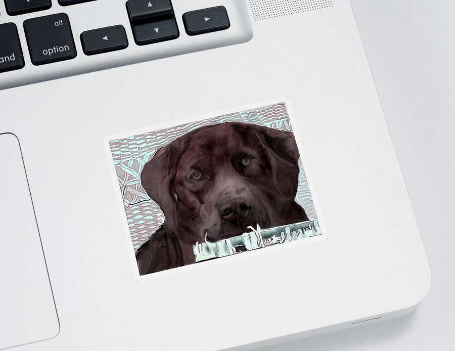 Chocolate Lab Drawing Sticker featuring the mixed media Contemplation by Pamela Calhoun