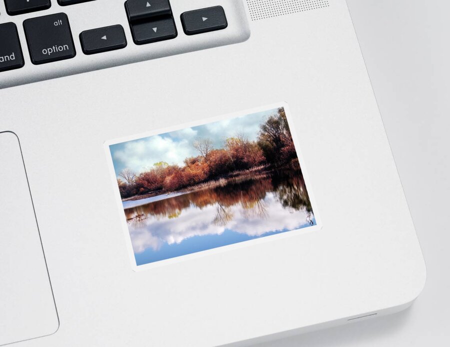 Photography Sticker featuring the digital art Cosumnes River Trail by Terry Davis