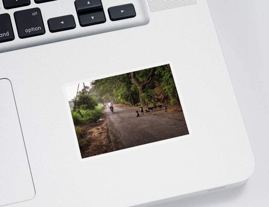 Photography Sticker featuring the photograph Country Road by Craig Boehman