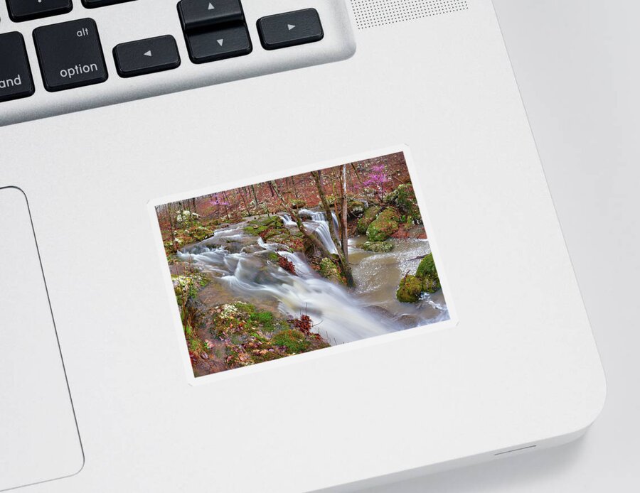 Waterfall Sticker featuring the photograph Coward's Hollow Shut-ins I by Robert Charity